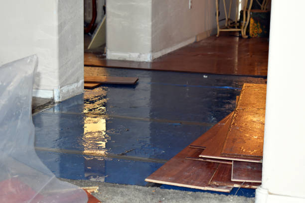 Professional Water Damage Restoration technician working in Placida, FL